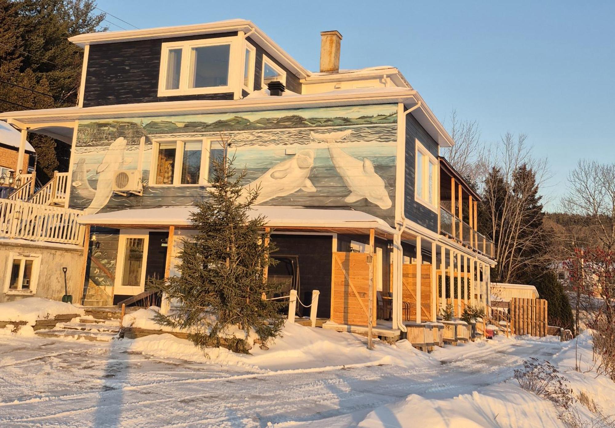 Suite 2 Fleche Du Fjord Vue Saguenay Mont Valin Saint-Fulgence 外观 照片